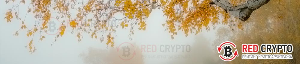 много вилок в сенбябре