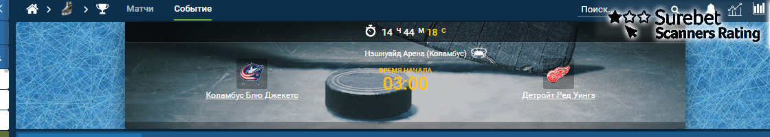 хоккейные вилки: многообразие и вариативность